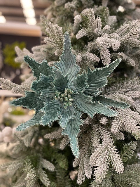 AQUA VELVET GLITTER POINSETTIA JXG220