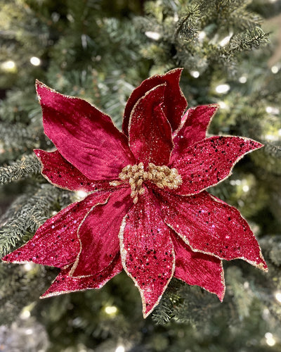 BURGUNDY POINSETTIA JXG243