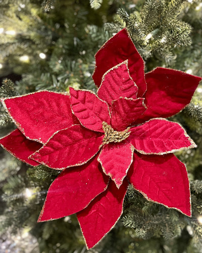 DEEP RED WITH GOLD EDGE LARGE POINSETTIA JXG303