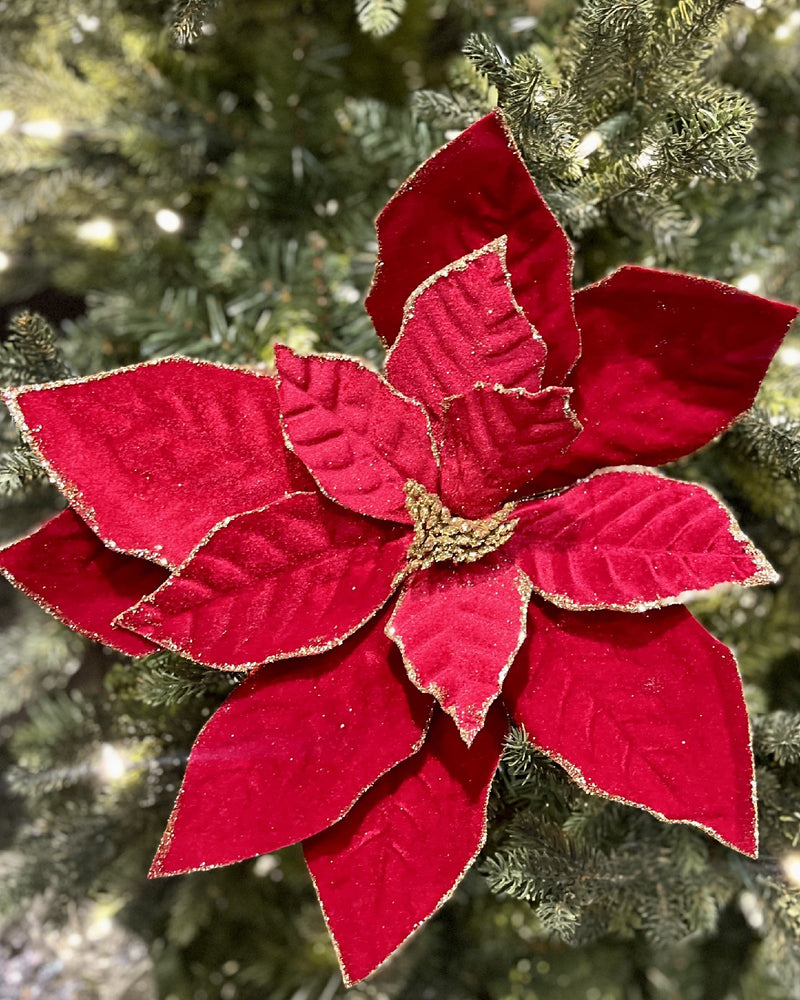 DEEP RED WITH GOLD EDGE LARGE POINSETTIA JXG303