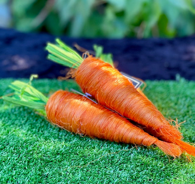 20CM CARROT DECORATION PSH040