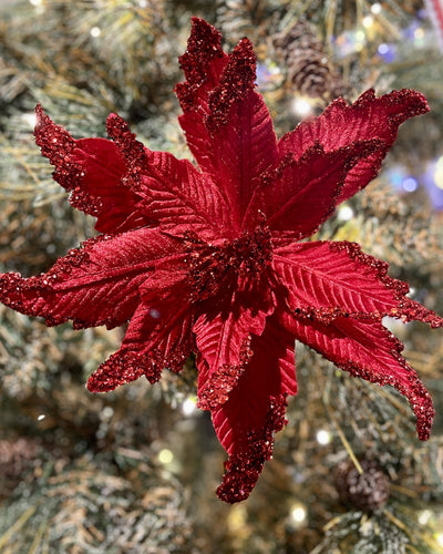 RED WITH GLITTER EDGE POINSETTIA MG018