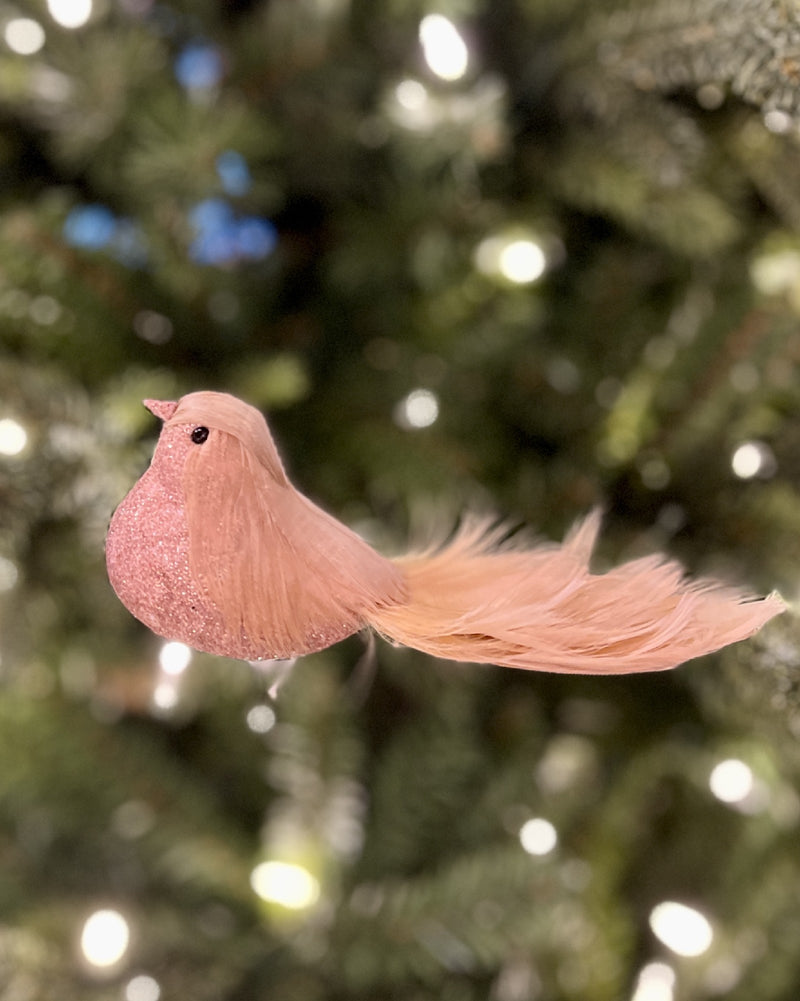 PALE PINK CURL CLIP ON BIRD DXS018