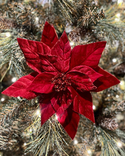 RED VELOUR GLITTER EDGE POINSETTIA DCJ032