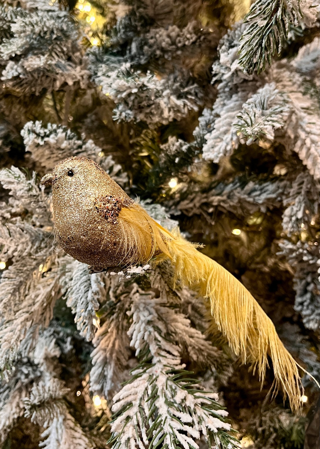 GOLD EMBELLISHED BIRD CLIP ON EXS014