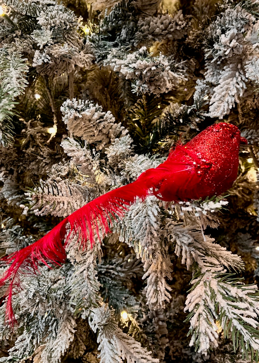 RED EMBELLISHED BIRD CLIP ON EXS020