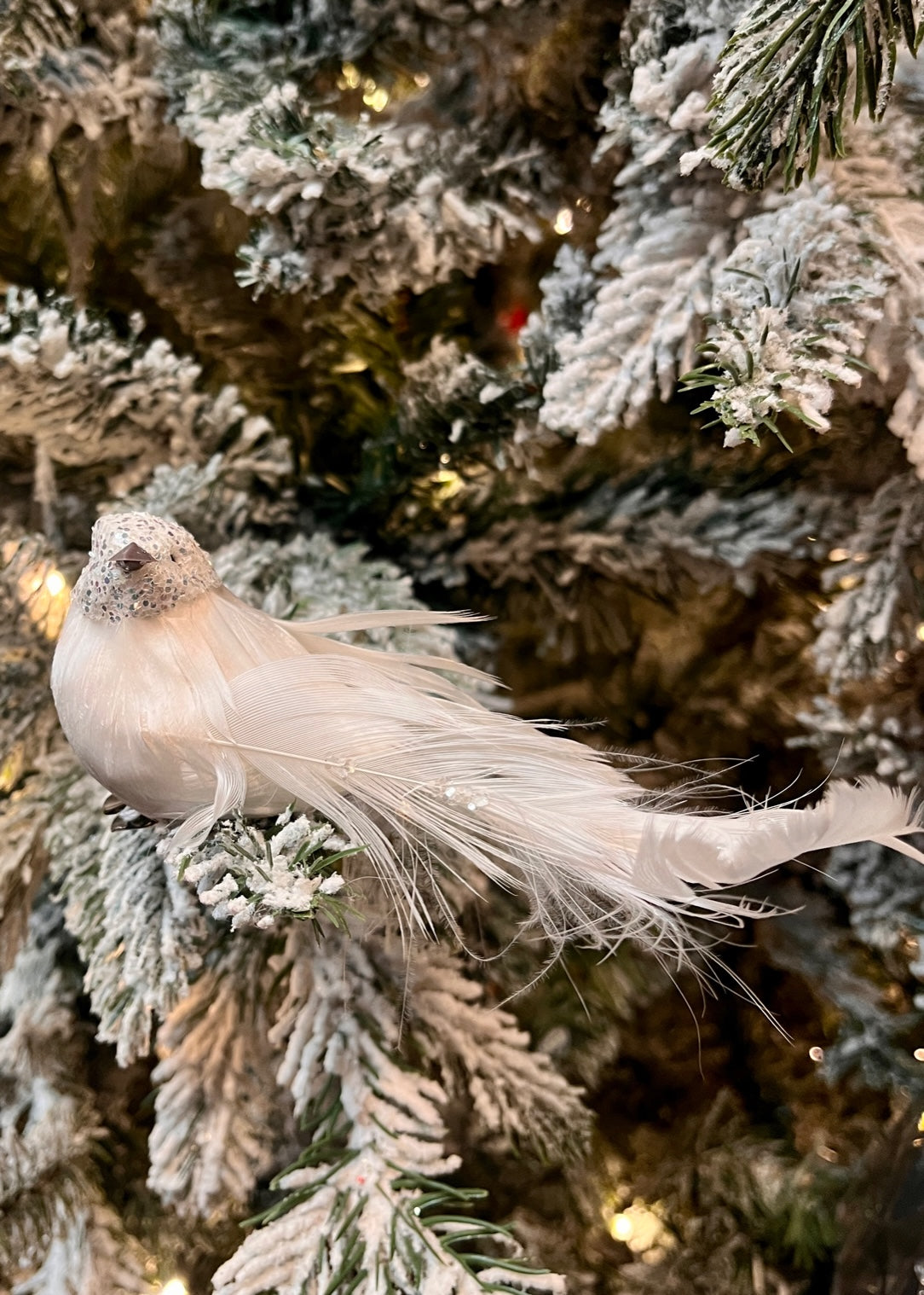 WHITE BEJEWELLED BIRD CLIP ON EXS024