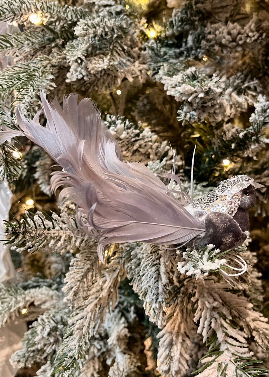 SILVER ADORNED BIRD CLIP ON EXS035