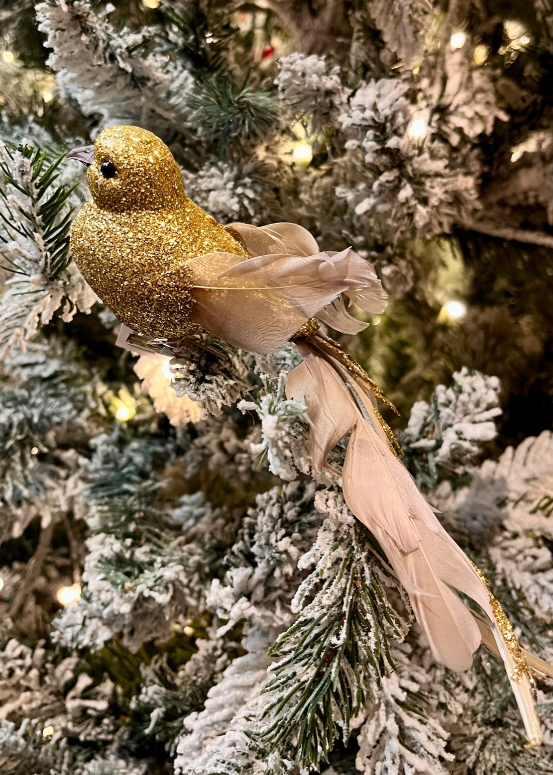 GOLD LONG TAILED FEATHER BIRD CLIP ON EXS043