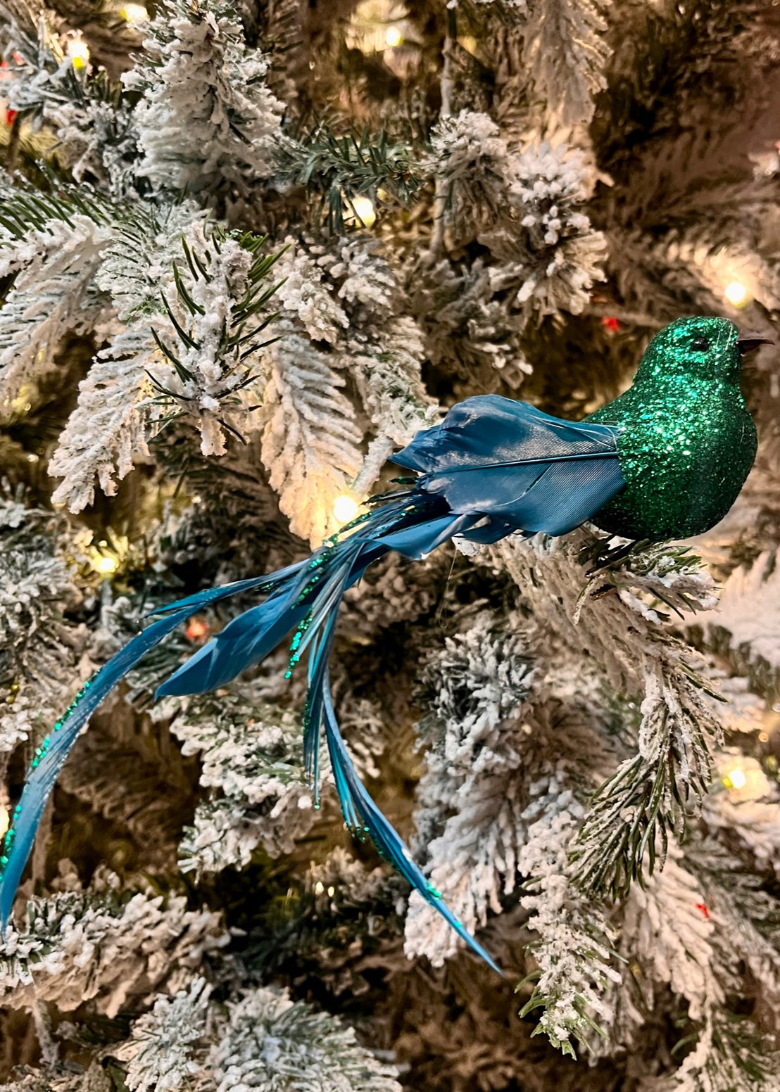 GREEN LONG TAILED FEATHER BIRD CLIP ON EXS047