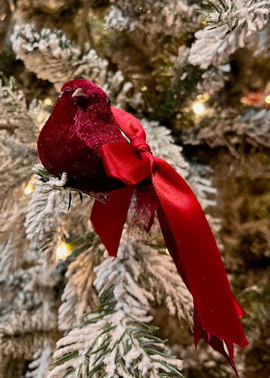 RED RIBBON TAILED BIRD EXS053