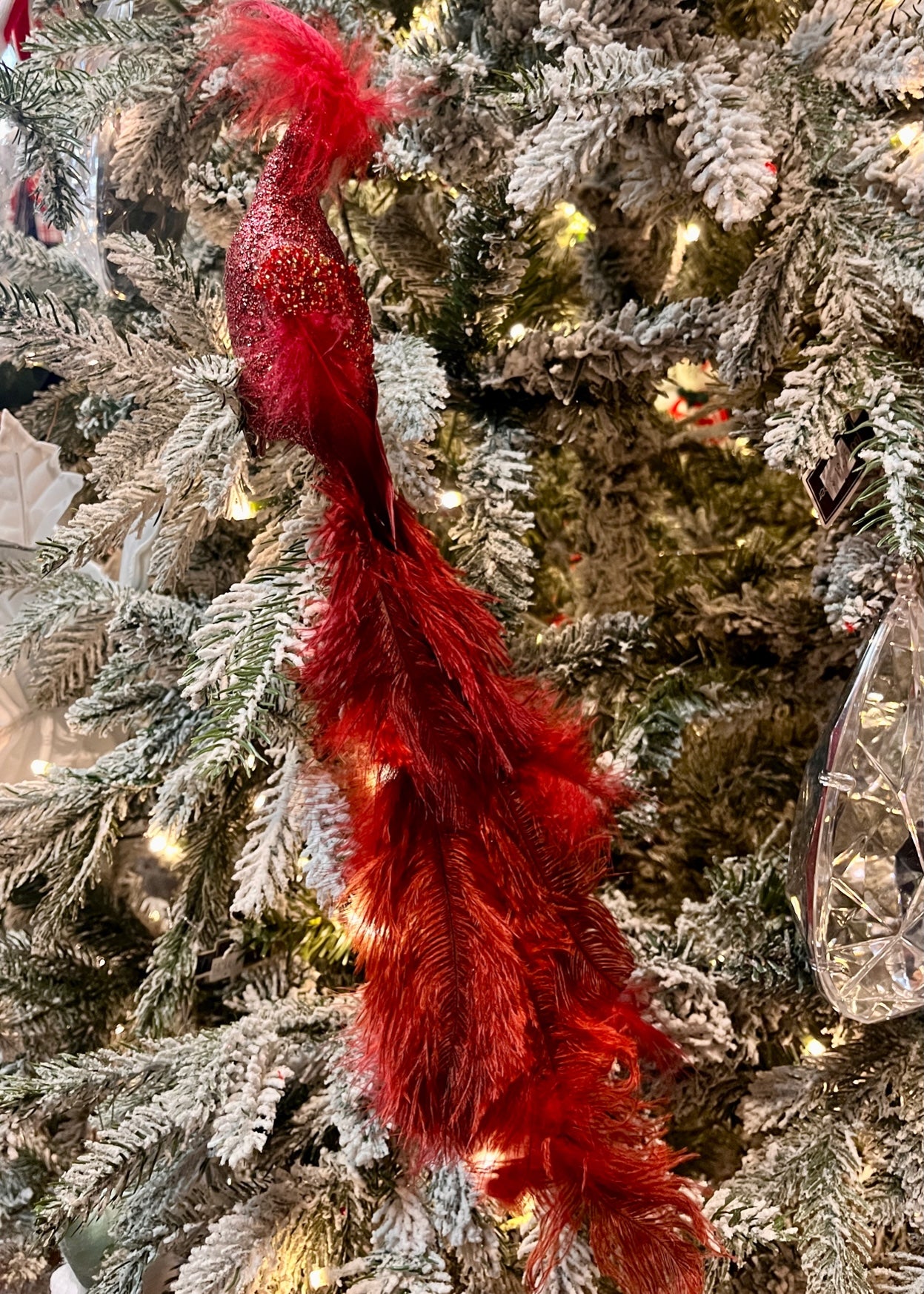 RED PEACOCK CLIP ON EXS055