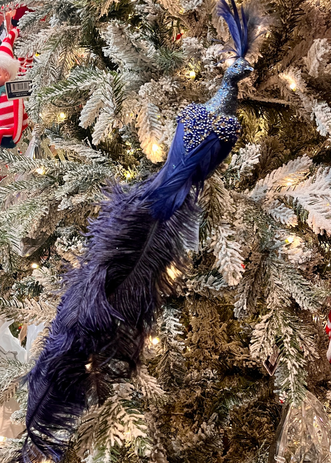 NAVY PEACOCK CLIP ON EXS057