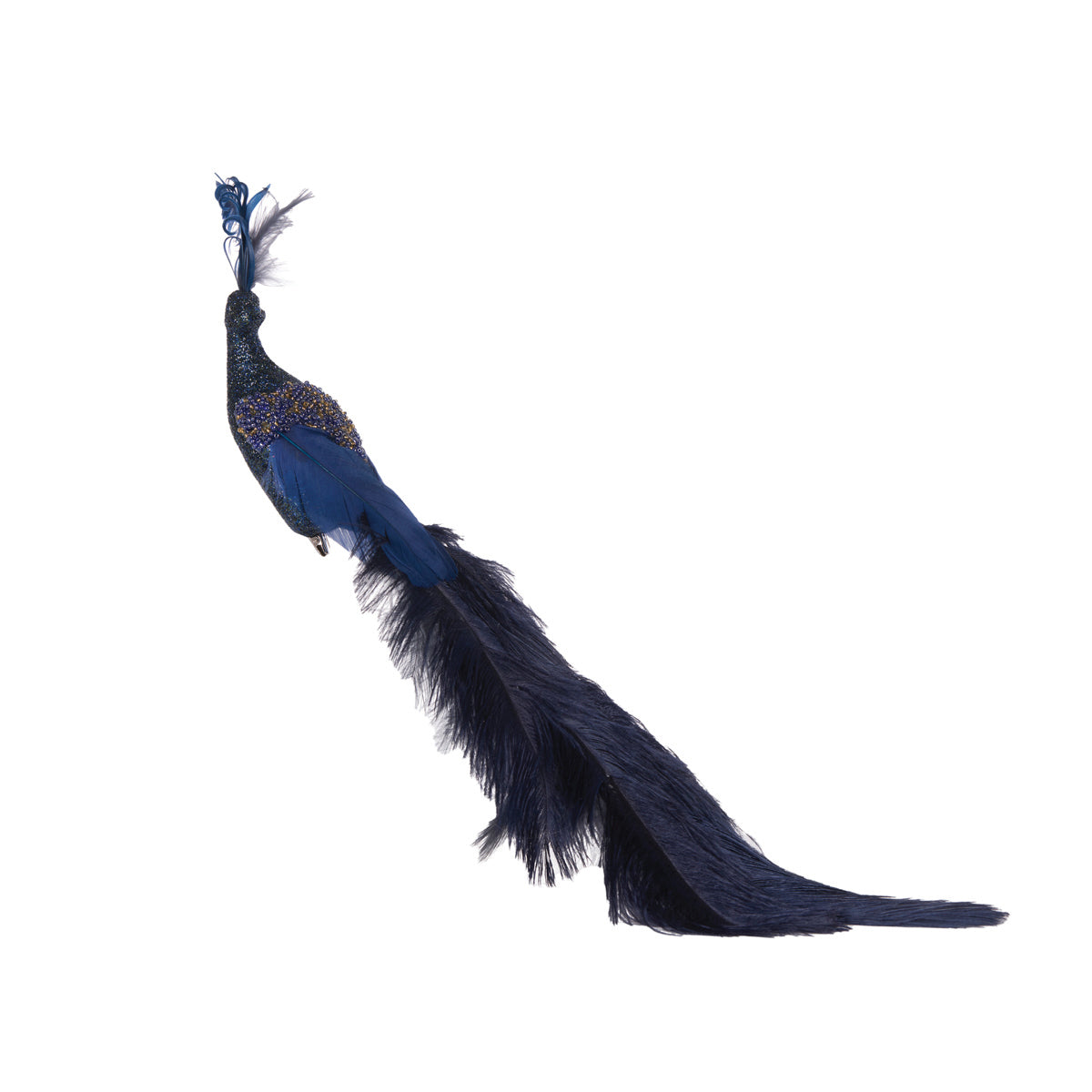 NAVY PEACOCK CLIP ON EXS057