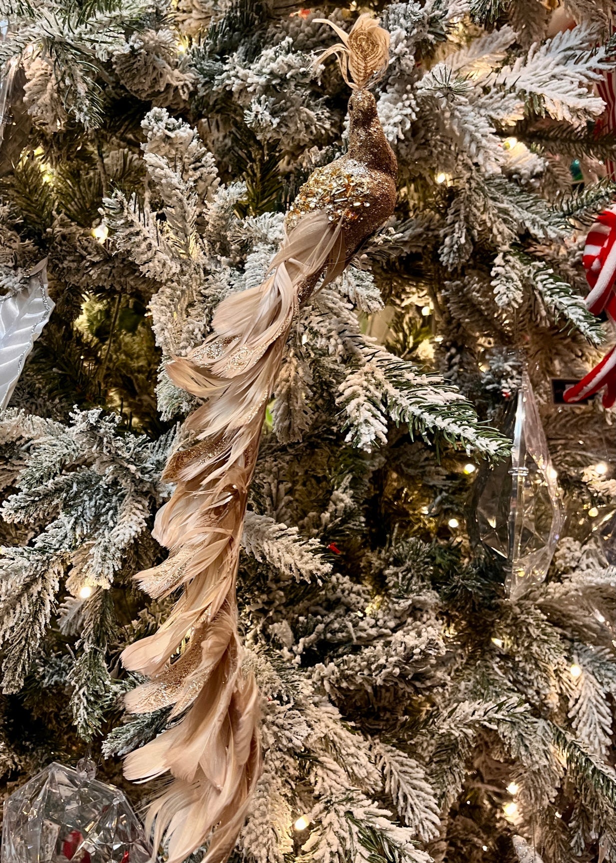 CHAMPAGNE GOLD CURVED TAILED PEACOCK CLIP ON EXS058