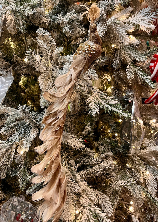 CHAMPAGNE GOLD CURVED TAILED PEACOCK CLIP ON EXS058