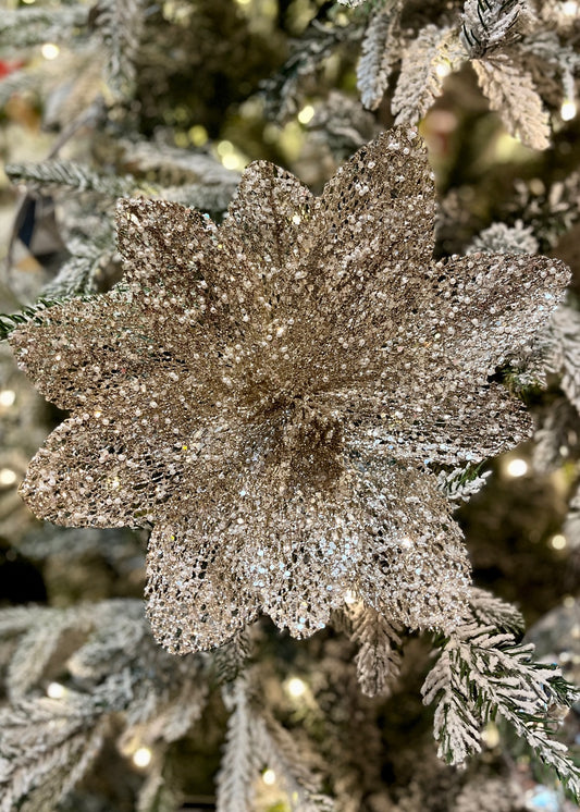 SHEER CHAMPAGNE GLITTERED POINSETTIA ECJ037