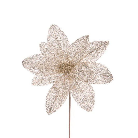 SHEER CHAMPAGNE GLITTERED POINSETTIA ECJ037