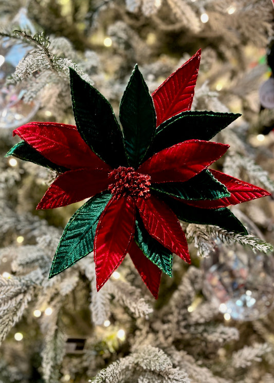 RED & GREEN MIX VELOUR POINSETTIA ECJ089