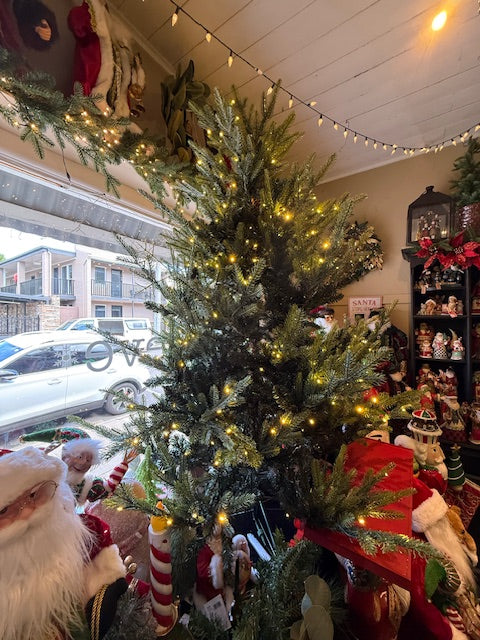 5.5 FT GRAND SPRUCE TREE - 400 LED EXL001 (PICK UP IN STORE ONLY)