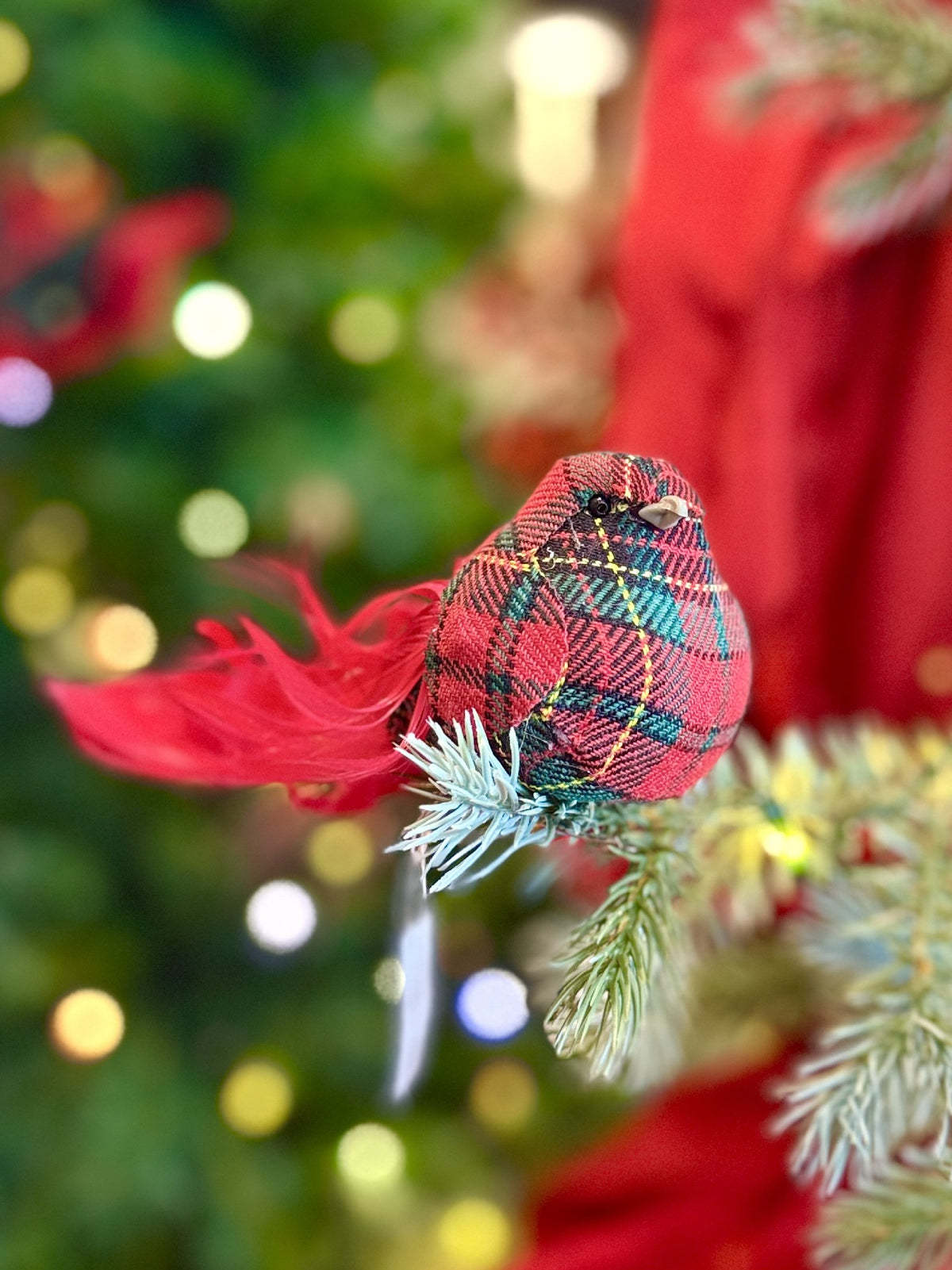 FAT TARTAN FEATHER CLIP BIRD FXS033
