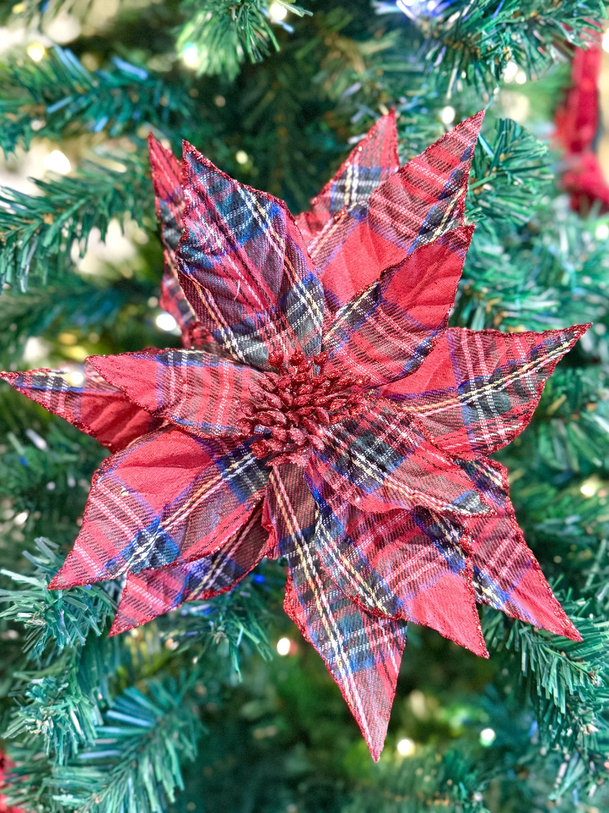 TARTAN POINSETTIA FLOWER FCJ122