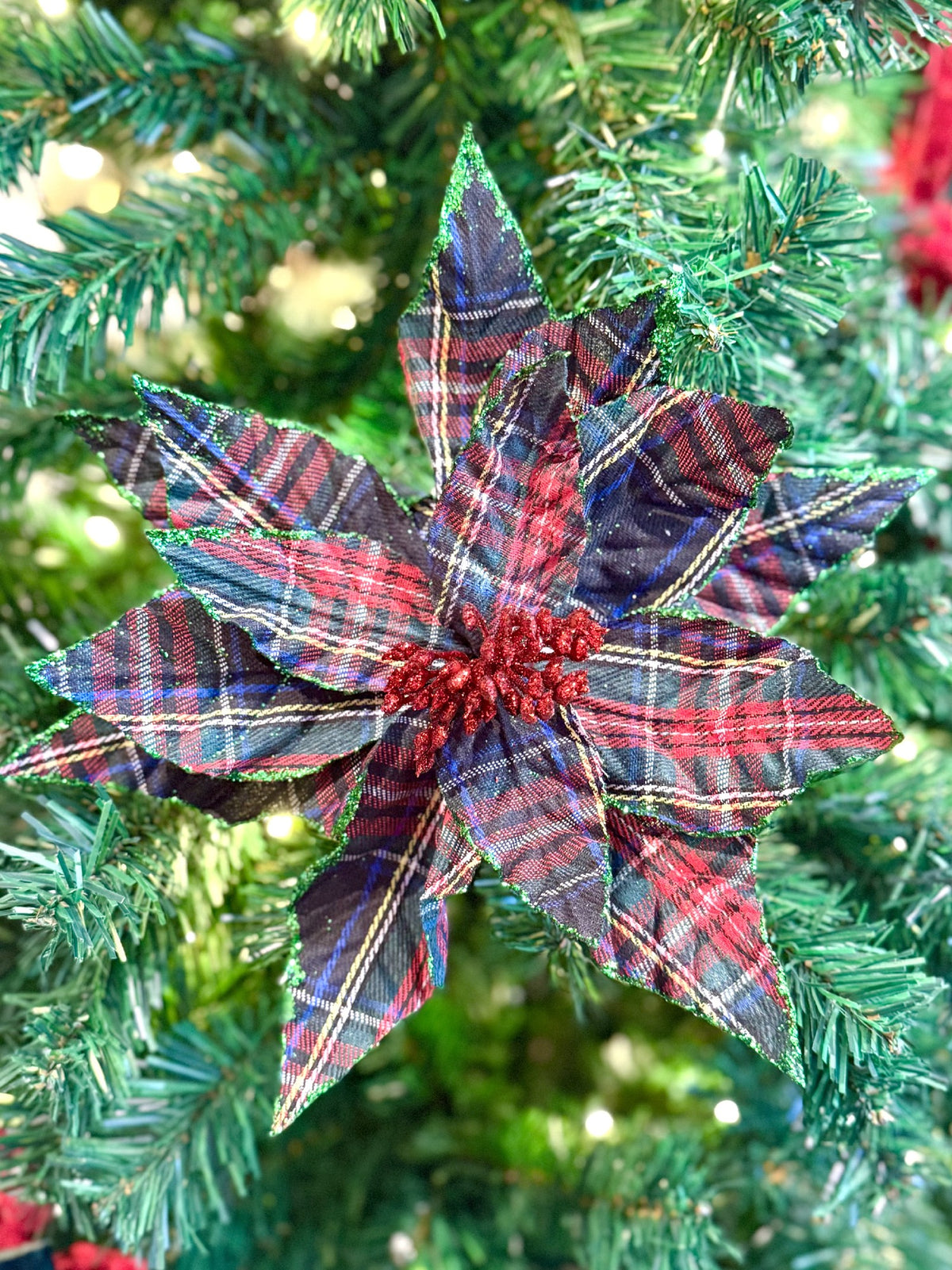 GREEN TARTAN POINSETTIA FCJ123