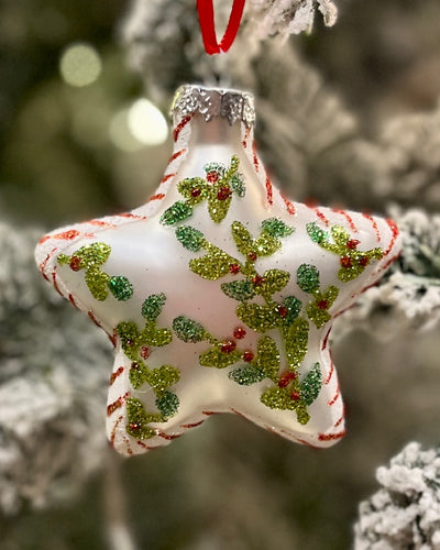 STAR FOLIAGE GLASS HANGING ORNAMENT RAM401