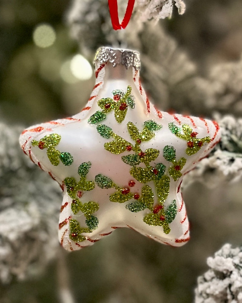 STAR FOLIAGE GLASS HANGING ORNAMENT RAM401