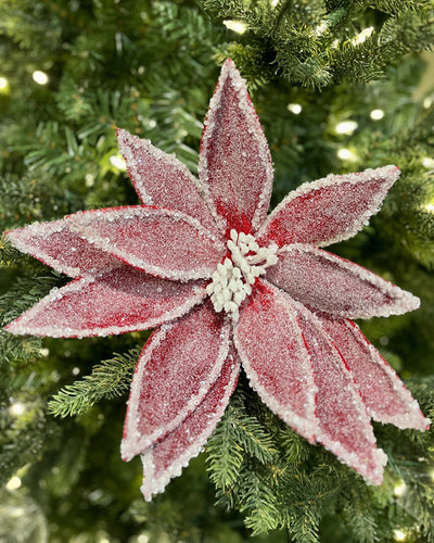 RED ICED POINSETTIA RXD187