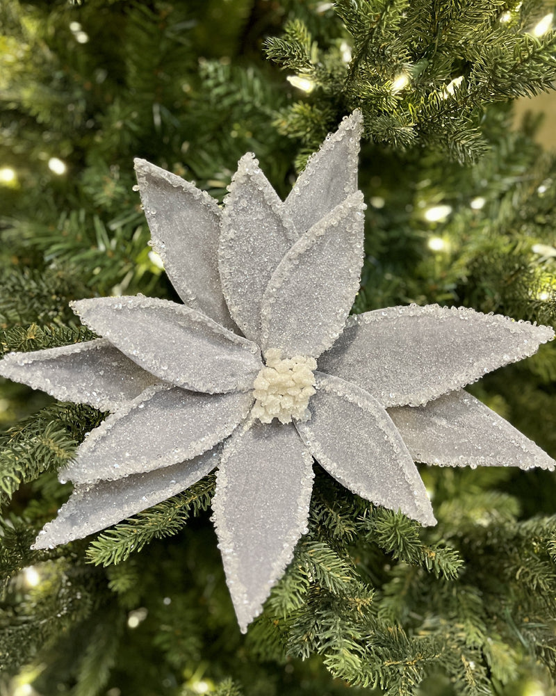 GREY/BLUE  ICED POINSETTIA RXD189