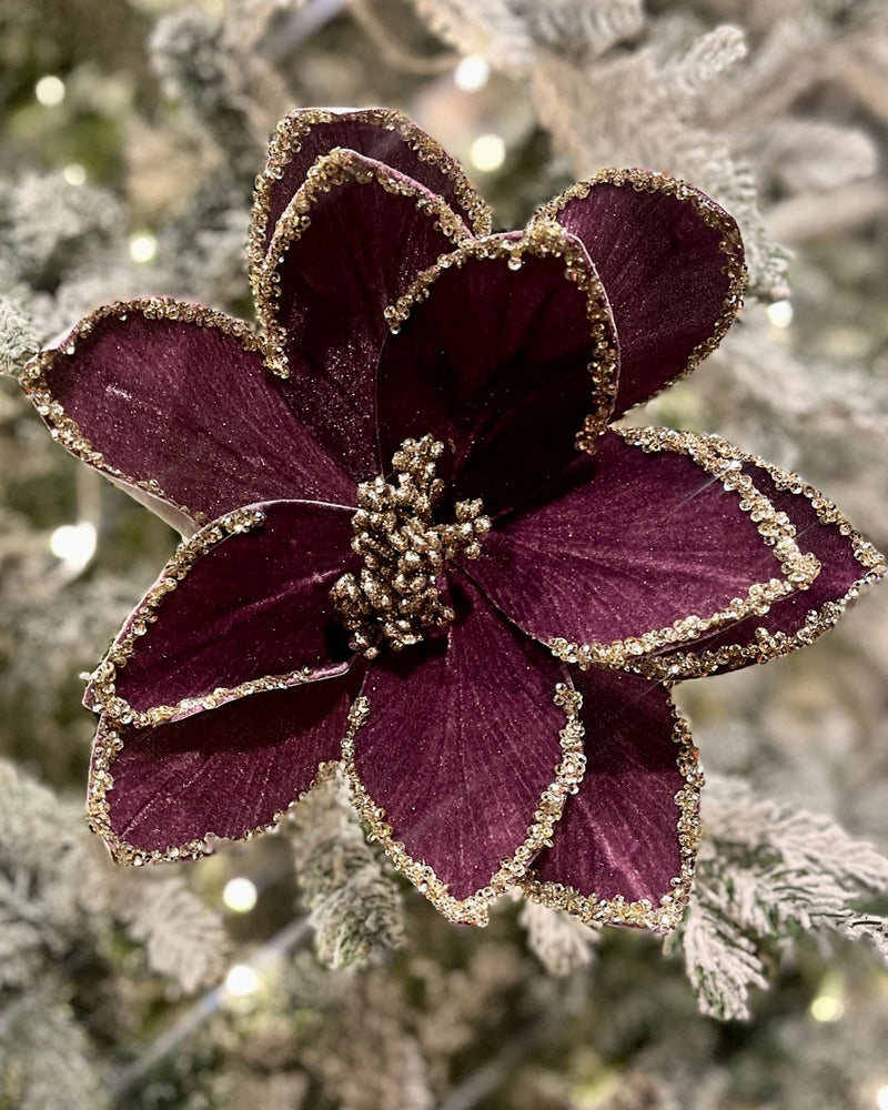 PLUM GLITTER EDGE POINSETTIA RXD202