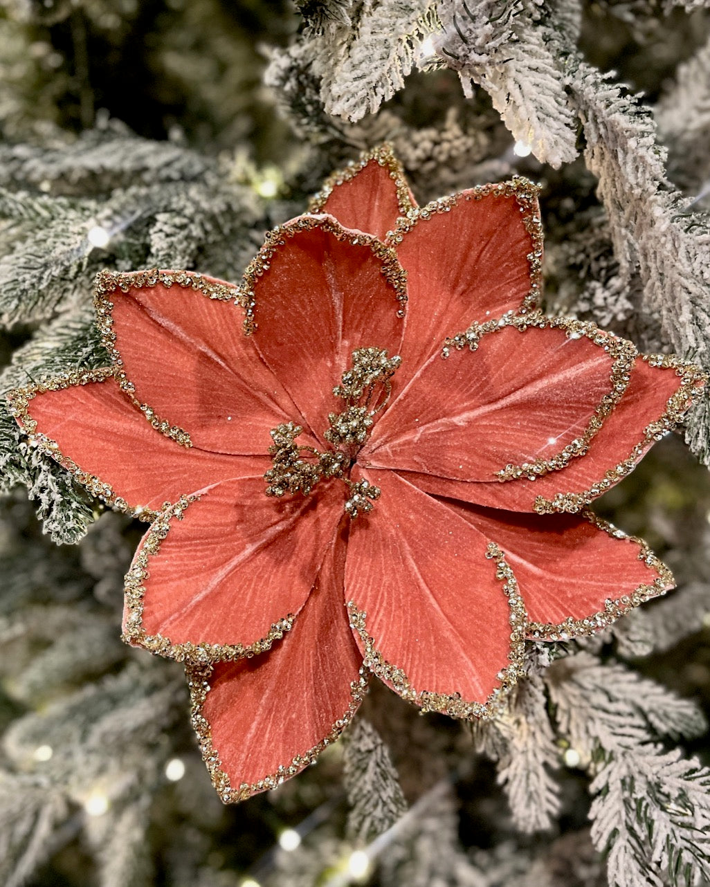 DUSTY PINK GLITTER EDGE POINSETTIA RXD204