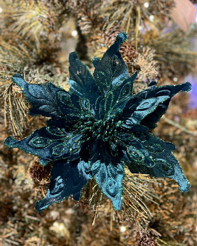 TEAL GREEN POINSETTIA RXD239 