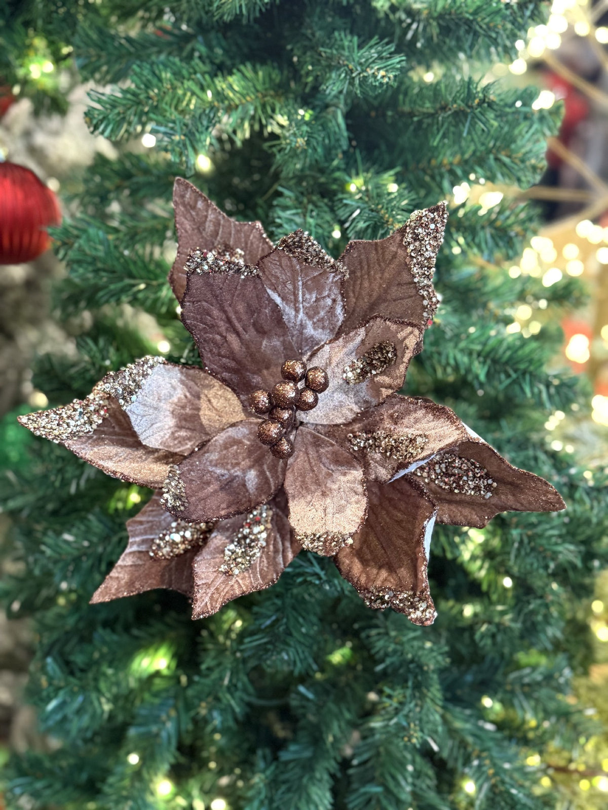 Taupe Poinsettia RXD250