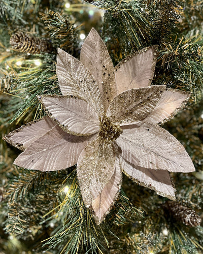 PALE PINK POINSETTIA WITH CHAMPAGNE GLITTER RXD261