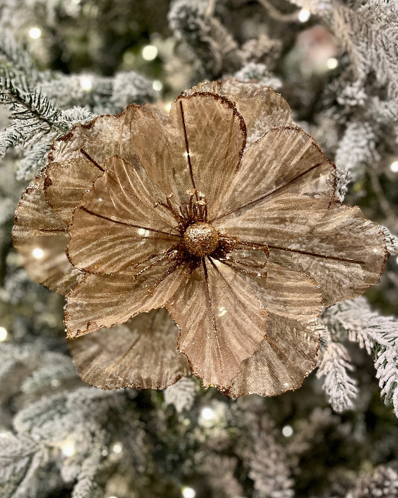 TAUPE ORGANZA FLOWER RXD335