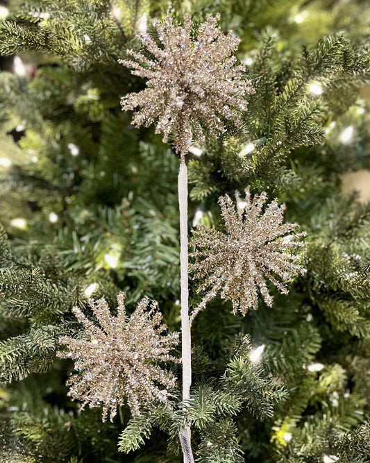 CHAMPAGNE 3 BURST BALLS SPRAY RXD347