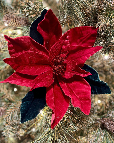 RED & GREEN VELVET POINSETTA RXD377