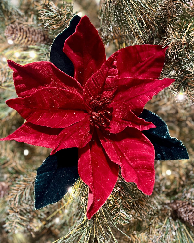 RED & GREEN VELVET POINSETTA RXD377