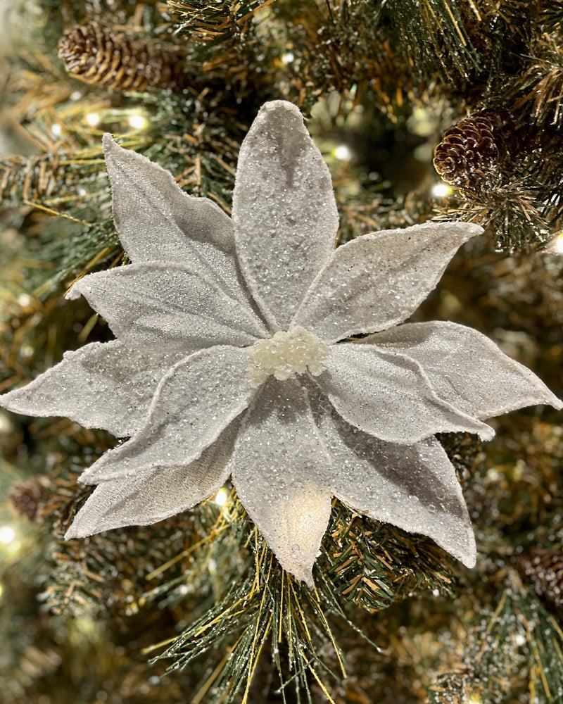 WHITE FROSTED POINSETTIA RXD379