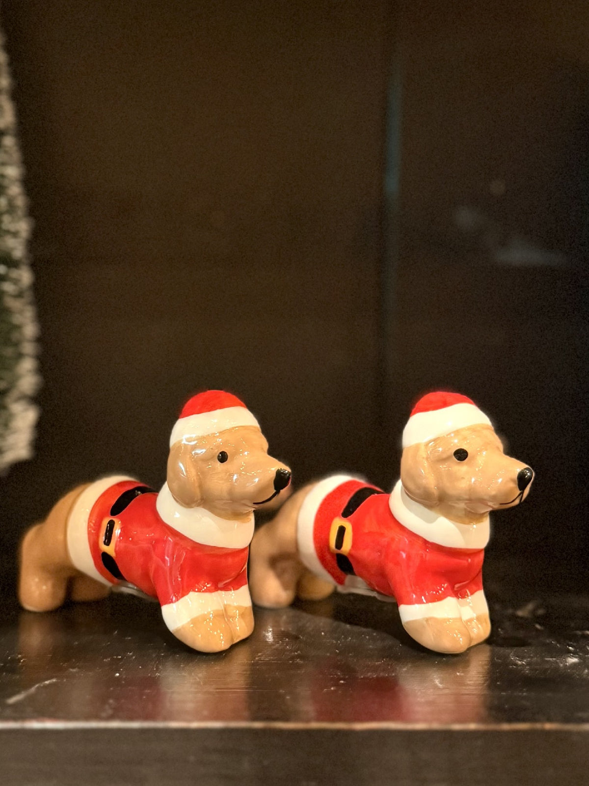 Dachshund S&P Shakers XM1764