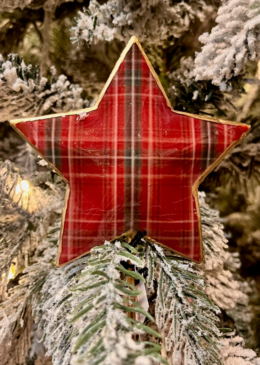 TARTAN STAR ON STEM LT0164