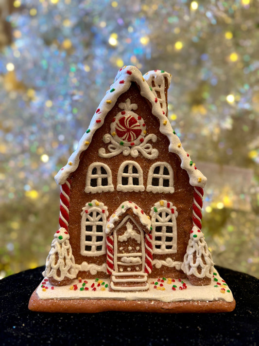 SPRINKLES GINGERBREAD LED HOUSE 4516333