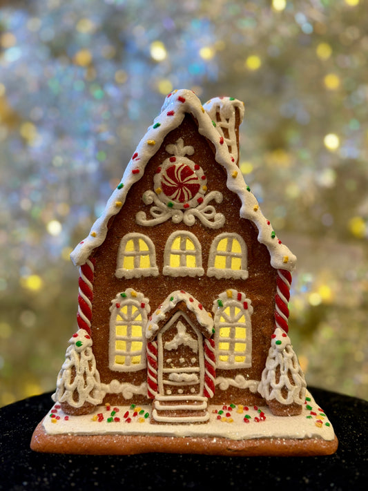 SPRINKLES GINGERBREAD LED HOUSE 4516333