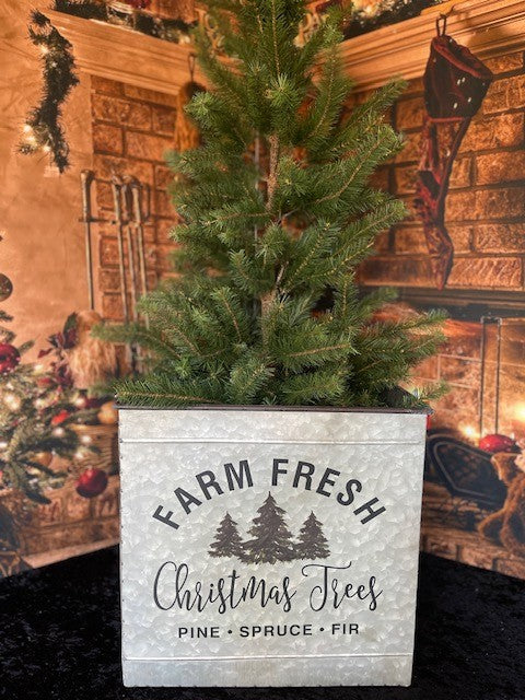 FARM FRESH CHRISTMAS TREES SQUARE BUCKET LARGE