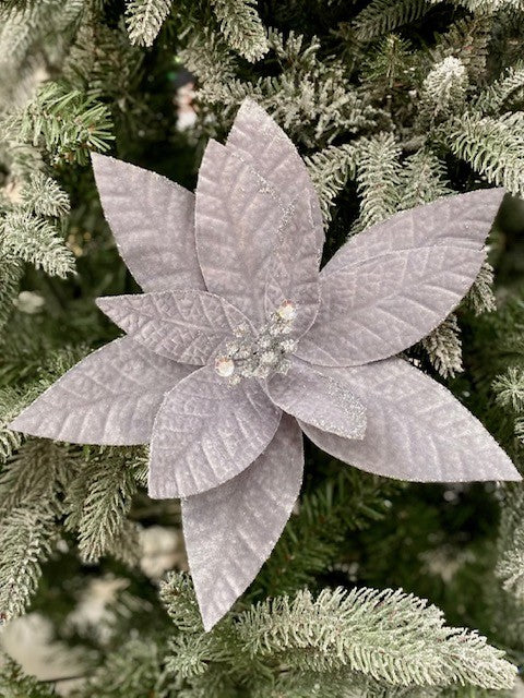 SILVER LEAF POINSETTIA GGF053